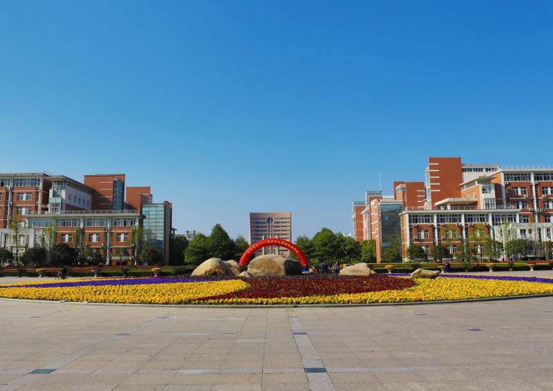中心花坛